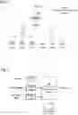 Fig. 02 - Dynamic transmission bandwidth selection