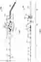 Fig. 07 - Fishing rod with suspension system and method for using same
