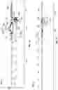 Fig. 10 - Fishing rod with suspension system and method for using same