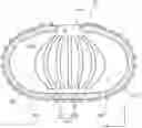 Fig. 01 - ORGAN CONTAINER