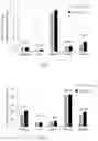 Fig. 04 - COMPOSITION FOR INCREASING PRODUCTIVITY IN PLANTS
