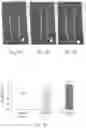 Fig. 06 - COMPOSITION FOR INCREASING PRODUCTIVITY IN PLANTS