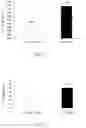 Fig. 07 - COMPOSITION FOR INCREASING PRODUCTIVITY IN PLANTS