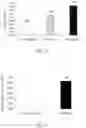 Fig. 08 - COMPOSITION FOR INCREASING PRODUCTIVITY IN PLANTS