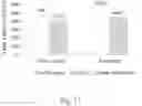 Fig. 10 - COMPOSITION FOR INCREASING PRODUCTIVITY IN PLANTS