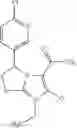 Fig. 108 - MESOIONIC IMIDAZOLIUM COMPOUNDS AND DERIVATIVES FOR COMBATING ANIMAL PESTS