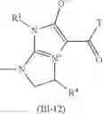 Fig. 80 - MESOIONIC IMIDAZOLIUM COMPOUNDS AND DERIVATIVES FOR COMBATING ANIMAL PESTS