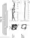 Fig. 40 - Methods and kits for assessing central nervous system integrity