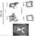 Fig. 47 - Methods and kits for assessing central nervous system integrity