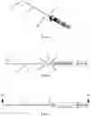 Fig. 02 - FEEDING TUBE WITH INTEGRATED STYLET