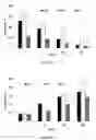 Fig. 06 - Medical and Dental Bioceramic Composition for Temporary Use