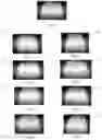 Fig. 02 - Hair shine compositions
