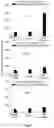 Fig. 02 - ALLOPREGNANOLONE COMPOSITIONS AND USES THEREOF