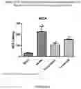 Fig. 09 - NEUROPROTECTIVE PHYLLANTHUS EMBLICA-CONTAINING COMPOSITIONS AND METHODS