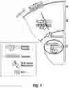 Fig. 02 - COMPOSITIONS COMPRISING A TWEAK LIGAND AND METHODS OF USING SAME