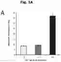 Fig. 02 - INSULIN CONTAINING PHARMACEUTICAL COMPOSITIONS