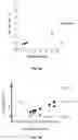 Fig. 09 - INSULIN CONTAINING PHARMACEUTICAL COMPOSITIONS