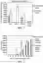 Fig. 02 - IMMUNOSTIMULATORY LIPOPLEX, PHARMACEUTICAL COMPOSITION INCLUDING IMMUNOSTIMULATORY LIPOPLEX, AND USES THEREOF
