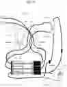 Fig. 21 - BLOOD PROCESSING  APPARATUS,  DISPOSABLE SET, METHOD, AND SYSTEM