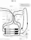 Fig. 23 - BLOOD PROCESSING  APPARATUS,  DISPOSABLE SET, METHOD, AND SYSTEM