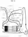 Fig. 24 - BLOOD PROCESSING  APPARATUS,  DISPOSABLE SET, METHOD, AND SYSTEM