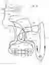 Fig. 30 - BLOOD PROCESSING  APPARATUS,  DISPOSABLE SET, METHOD, AND SYSTEM