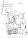Fig. 31 - BLOOD PROCESSING  APPARATUS,  DISPOSABLE SET, METHOD, AND SYSTEM