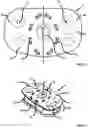 Fig. 02 - INTRACORPOREAL GUIDE COMPONENT