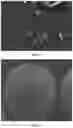 Fig. 02 - Adsorbent comprising carboxylic acid dimer and preparation method thereof