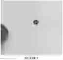 Fig. 08 - Method to produce high densities of isolated atoms on support substrates