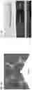 Fig. 08 - Arbitrarily shaped, deep sub-wavelength acoustic manipulation for microparticle and cell patterning