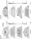 Fig. 09 - Arbitrarily shaped, deep sub-wavelength acoustic manipulation for microparticle and cell patterning