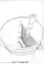 Fig. 02 - Paint bucket and roller storage combination and methods of use thereof