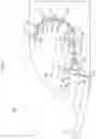 Fig. 12 - MEDIUM CONVEYING APPARATUS TO NOTIFY USER OF CLEANING INSTRUCTION OR REPLACEMENT INSTRUCTION OF FEED ROLLER