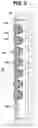 Fig. 04 - Sanitary operational panel for choosing floor used for elevating equipment