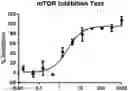 Fig. 01 - ENTEROVIRUS INHIBITOR