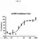 Fig. 02 - ENTEROVIRUS INHIBITOR