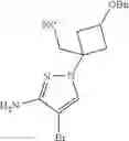 Fig. 49 - PYRAZOLOPYRAZINE DERIVED COMPOUNDS, PHARMACEUTICAL COMPOSITION AND USE THEREOF