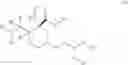 Fig. 05 - ARGINASE INHIBITORS AND METHODS OF USE THEREOF