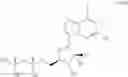 Fig. 09 - CD73 INHIBITORS