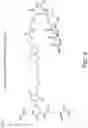 Fig. 06 - Linker structures with minimal scar for enzymatic synthesis