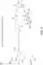 Fig. 07 - Linker structures with minimal scar for enzymatic synthesis