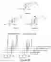 Fig. 09 - SMALL MOLECULE MODULATORS OF GUT BACTERIAL BILE ACID METABOLISM