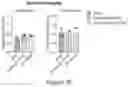 Fig. 40 - SMALL MOLECULE MODULATORS OF GUT BACTERIAL BILE ACID METABOLISM