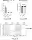 Fig. 46 - SMALL MOLECULE MODULATORS OF GUT BACTERIAL BILE ACID METABOLISM