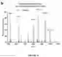 Fig. 06 - METHODS FOR THE FRACTIONATION OF PROTEINS