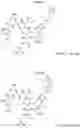 Fig. 09 - Cyclic Peptide Antiviral Agents and Methods Using Same