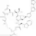 Fig. 32 - Cyclic Peptide Antiviral Agents and Methods Using Same