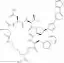Fig. 71 - Cyclic Peptide Antiviral Agents and Methods Using Same