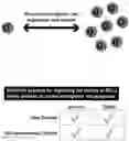 Fig. 01 - MODULATING SURVIVAL OF THERAPEUTIC CELLS AND METHODS, CELLS AND NUCLEIC ACIDS RELATED THERETO